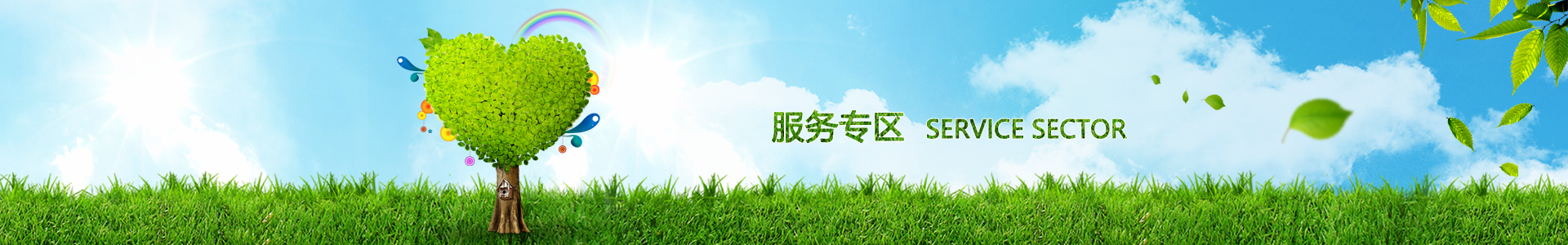 电子游戏平台