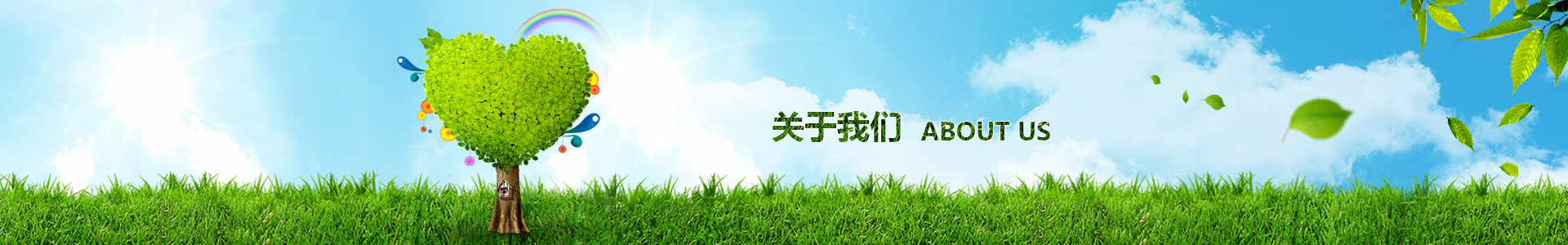 电子游戏平台