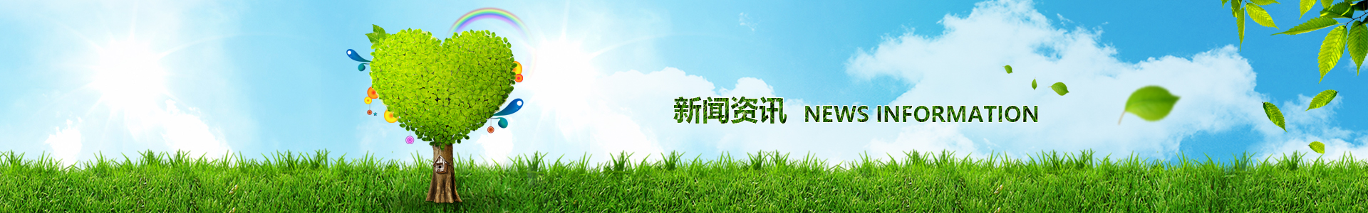 电子游戏平台