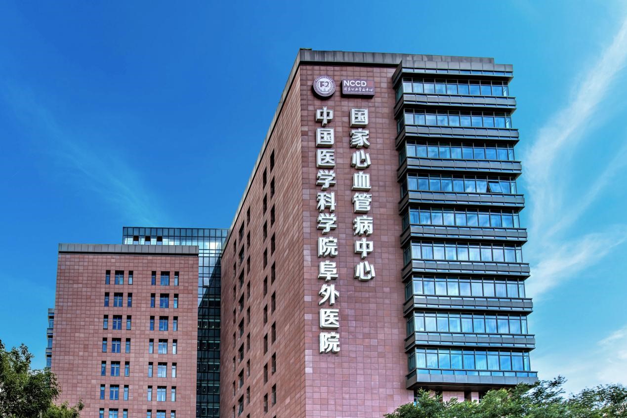 电子游戏平台